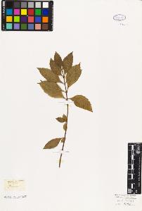 SW_BNB_s3010-06300_IMG-0000000001
