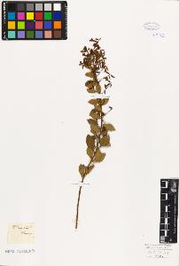 SW_BNB_s3010-06301_IMG-0000000001