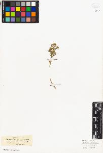 SW_BNB_s3010-06315_IMG-0000000001