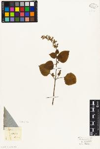 SW_BNB_s3010-06320_IMG-0000000001