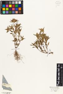 SW_BNB_s3010-06332_IMG-0000000001