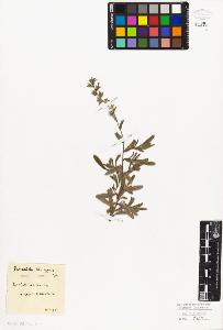 SW_BNB_s3010-06336_IMG-0000000001