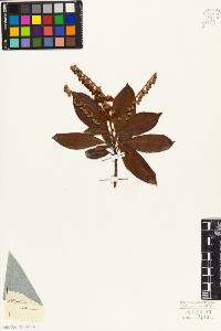 SW_BNB_s3010-06345_IMG-0000000001