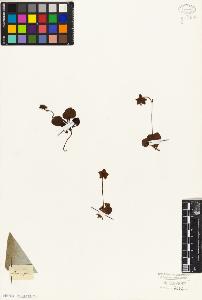 SW_BNB_s3010-06351_IMG-0000000001