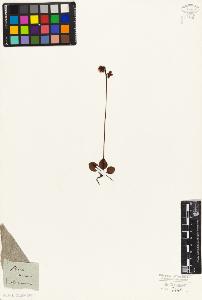 SW_BNB_s3010-06352_IMG-0000000001