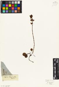 SW_BNB_s3010-06353_IMG-0000000001