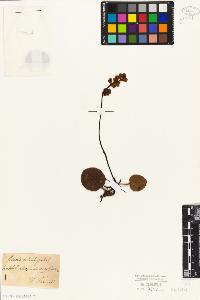 SW_BNB_s3010-06355_IMG-0000000001