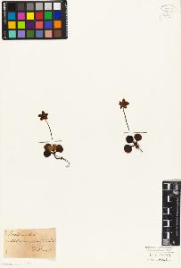 SW_BNB_s3010-06356_IMG-0000000001