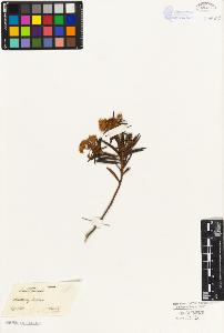 SW_BNB_s3010-06358_IMG-0000000001