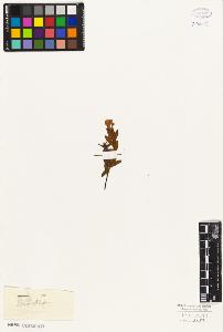 SW_BNB_s3010-06360_IMG-0000000001