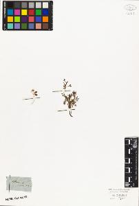 SW_BNB_s3010-06362_IMG-0000000001