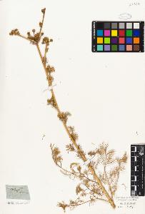 SW_BNB_s3010-06364_IMG-0000000001