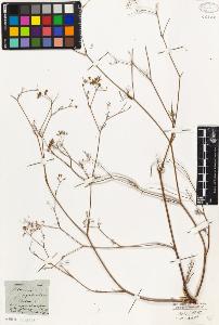 SW_BNB_s3010-06379_IMG-0000000001