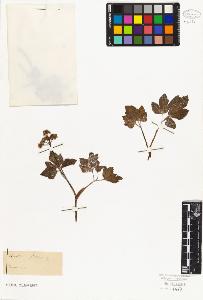 SW_BNB_s3010-06388_IMG-0000000001