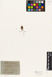 SW_BNB_s3010-06391_IMG-0000000001
