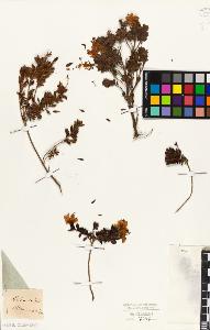 SW_BNB_s3010-06392_IMG-0000000001