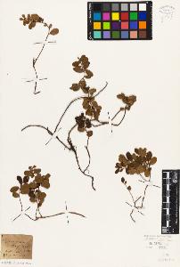 SW_BNB_s3010-06394_IMG-0000000001