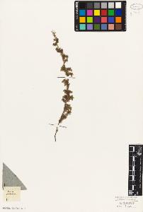 SW_BNB_s3010-06401_IMG-0000000001