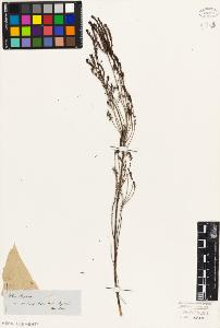 SW_BNB_s3010-06402_IMG-0000000001