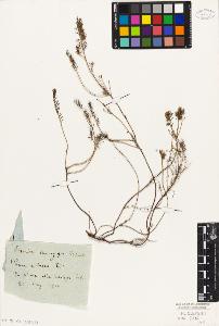 SW_BNB_s3010-06405_IMG-0000000001