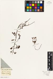 SW_BNB_s3010-06406_IMG-0000000001