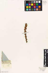 SW_BNB_s3010-06408_IMG-0000000001