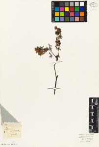 SW_BNB_s3010-06409_IMG-0000000001