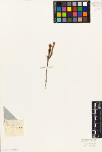 SW_BNB_s3010-06410_IMG-0000000001