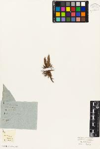 SW_BNB_s3010-06413_IMG-0000000001