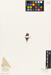 SW_BNB_s3010-06414_IMG-0000000001
