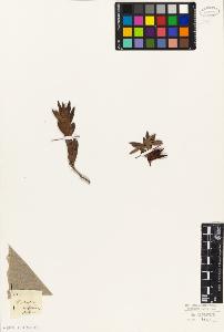 SW_BNB_s3010-06415_IMG-0000000001
