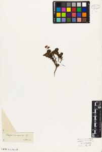 SW_BNB_s3010-06420_IMG-0000000001