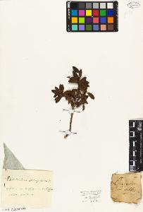 SW_BNB_s3010-06423_IMG-0000000001