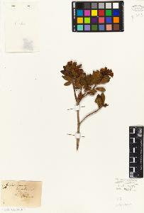 SW_BNB_s3010-06425_IMG-0000000001