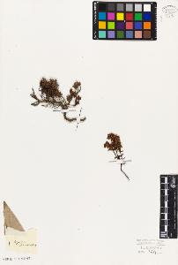 SW_BNB_s3010-06429_IMG-0000000001