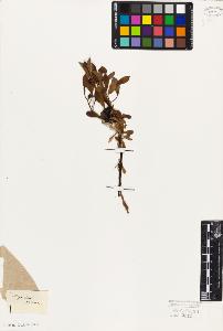 SW_BNB_s3010-06430_IMG-0000000001