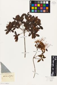 SW_BNB_s3010-06431_IMG-0000000001