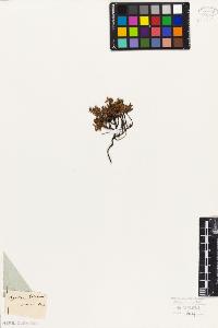 SW_BNB_s3010-06432_IMG-0000000001
