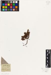 SW_BNB_s3010-06434_IMG-0000000001