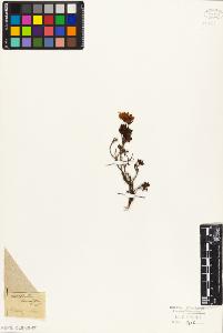 SW_BNB_s3010-06435_IMG-0000000001
