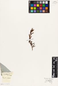 SW_BNB_s3010-06441_IMG-0000000001