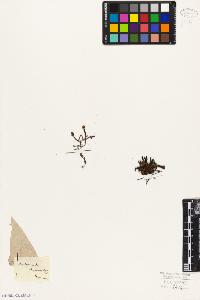 SW_BNB_s3010-06442_IMG-0000000001
