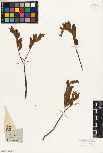 SW_BNB_s3010-06443_IMG-0000000001