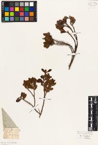 SW_BNB_s3010-06444_IMG-0000000001