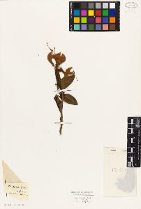 SW_BNB_s3010-06445_IMG-0000000001