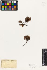 SW_BNB_s3010-06448_IMG-0000000001