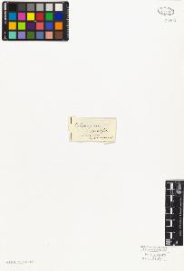 SW_BNB_s3010-06456_IMG-0000000001