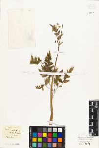 SW_BNB_s3010-06458_IMG-0000000001