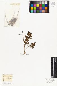 SW_BNB_s3010-06463_IMG-0000000001