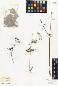 SW_BNB_s3010-06469_IMG-0000000001
